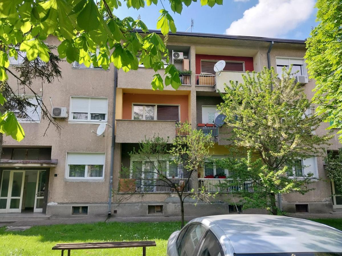 Apartmani Sofronic Loznica 1 외부 사진