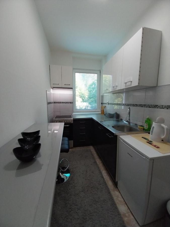 Apartmani Sofronic Loznica 1 외부 사진